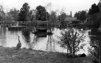 Svanparken, Mlamberget. 
