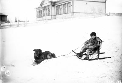 Ett barn på sparksläde och en hund. I bakgrunden: Backskolan; Grönskolan, Gällivare.
