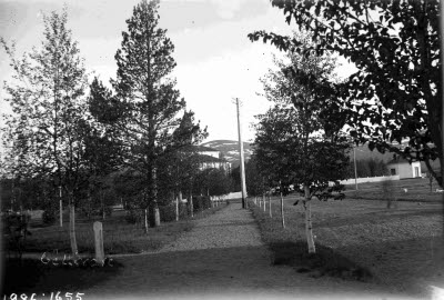 Gällivare kyrka skymtar i bakgrunden.