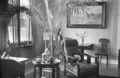 Rum; vardagsrum; interiör. Krukväxt (palm).