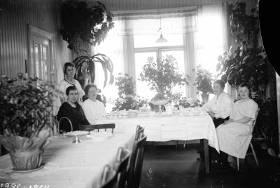 Gruppbild, interiör vardagsrum; fem damer, oidentifierade. Krukväxter.