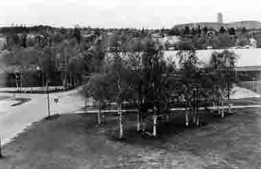 Isladan; Malmbergets Ishall, Puoitakvägen, Malmberget. I bakgrunden Hermelin och Johannes. Uppland; Upplandslaven.