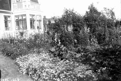 Sågverksägare A. F. Håkanssons fastighet; trädgården.