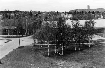 Isladan; Malmbergets Ishall, Puoitakvägen, Malmberget. I bakgrunden Hermelin och Johannes. Uppland; Upplandslaven.