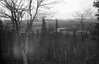 Harrträsk? Sikträsk? Övre delen av Vassaraträsk?