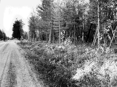 Inhängnad? Mäntyvaara.