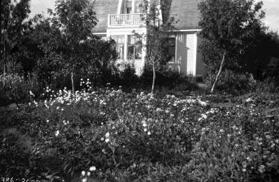 Schaktmästaregatan 25; bostadshus med trädgård: Sågverksägare Adolf Fredrik Håkanssons hus. 