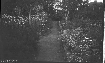 Trädgårdsgång kantad av blommor.