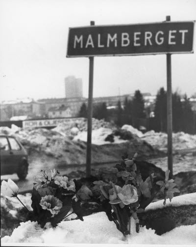 Vägskylt; ortnamnsmärke "Malmberget". Hertiggatan, Malmberget. Blommor vid vägkanten.
