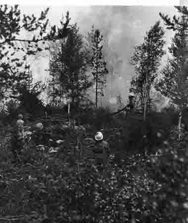 Skogsbrand under pågående släckningsarbete.