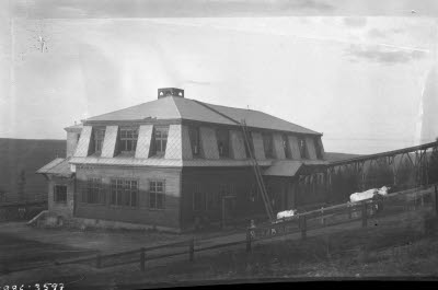 Tingvallskulle gruvstuga. Två kor i förgrunden.