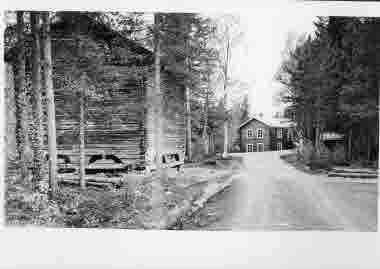 Timmerhus; timringar.