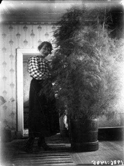 En dam. Självporträtt av fotografen Ida Barrel. Hemmiljö; stor krukväxt.
