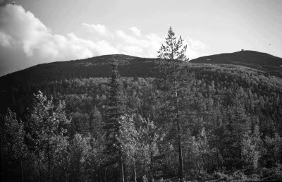 Dundret; kalfjället.