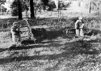 Träskulpturer; träsniderier på Hembygdsområdet (?) Gällivare.