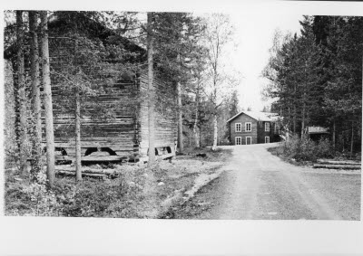 Timmerhus; timringar.