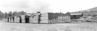 Tväråns Såg, träupplag hos SJ, Gällivare.