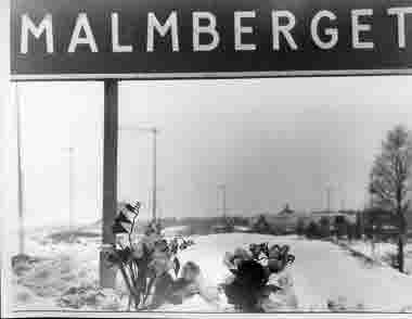 Vägskylt; ortnamnsmärke "Malmberget". Hertiggatan, Malmberget. Blommor vid vägkanten.